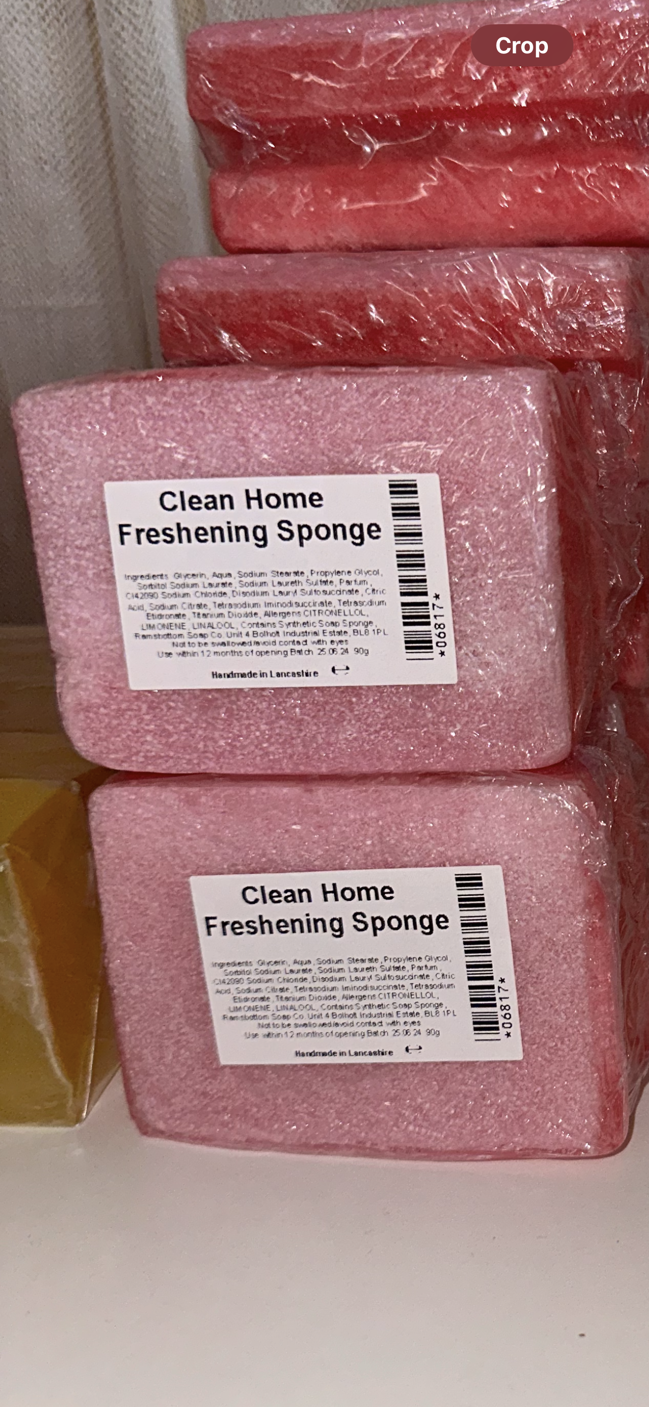 Non Scratch Scour Home Freshening Sponges