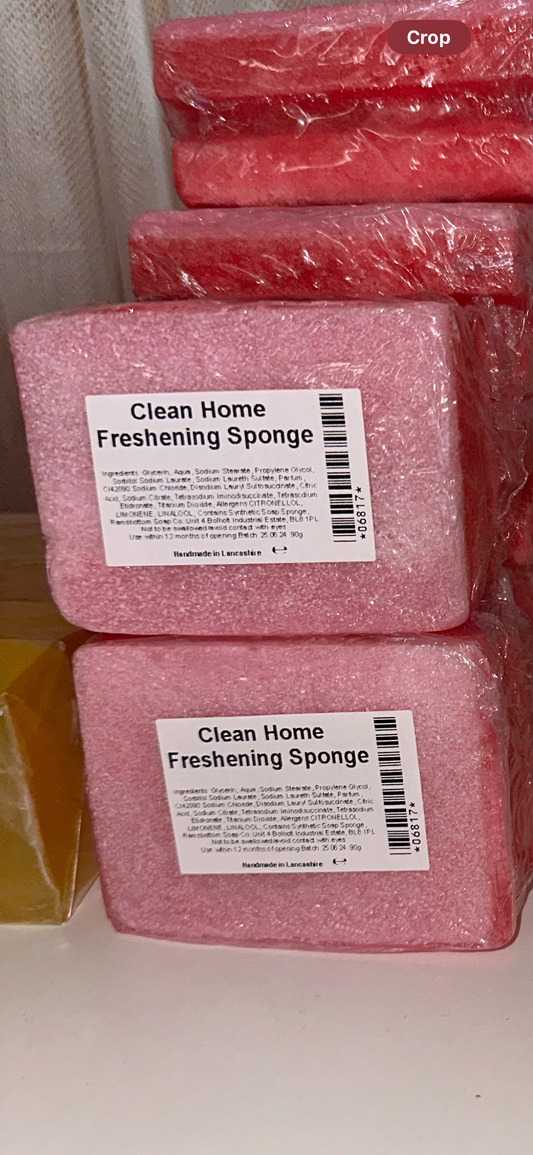 Non Scratch Scour Home Freshening Sponges